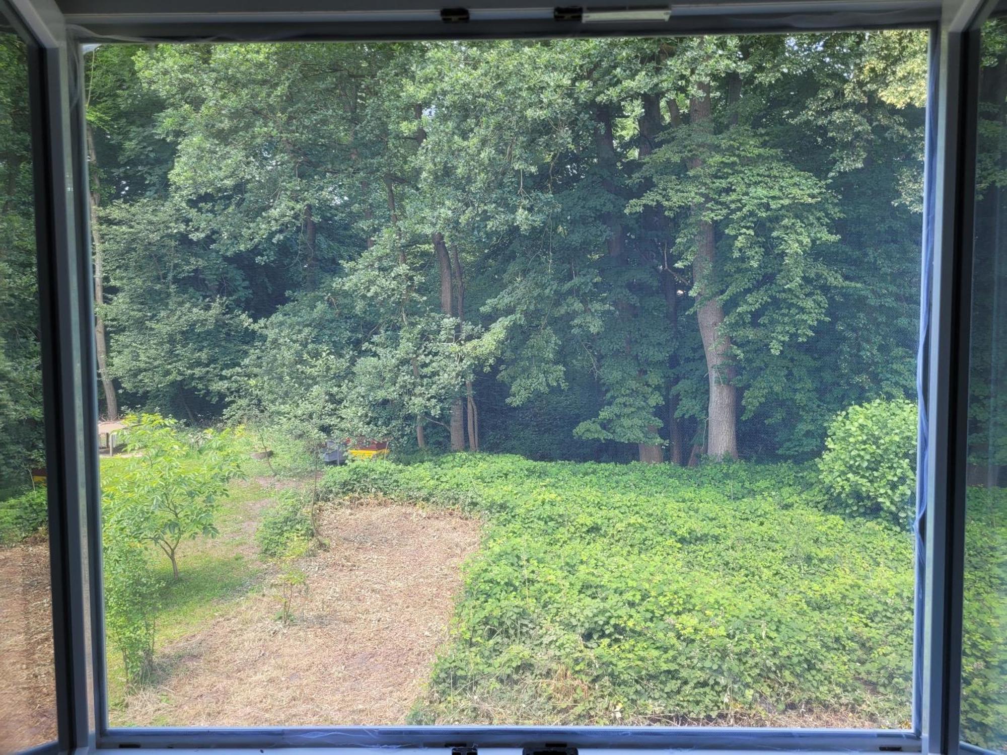 Idylischer Bachplatz Oerlinghausen Esterno foto